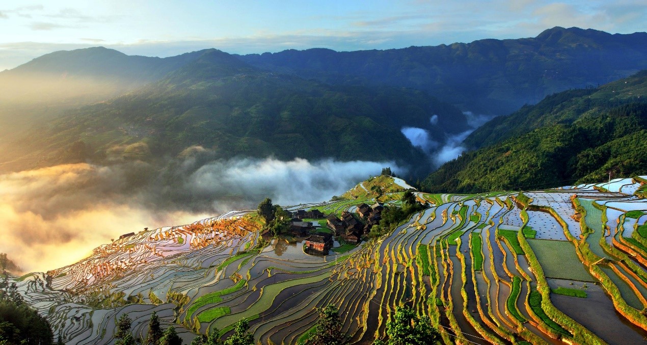 如何突破乡村旅游发展的困境？